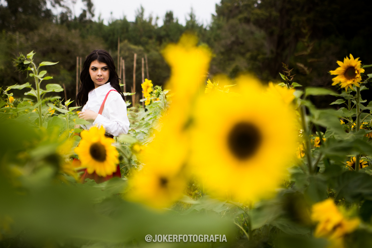 fotógrafo em curitiba para ensaio de debutante 15 anos