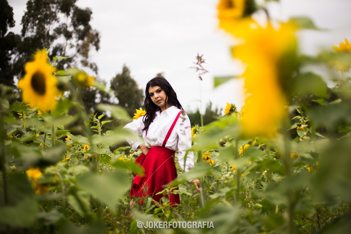 orçamento de fotógrafo para book de 15 anos curitiba