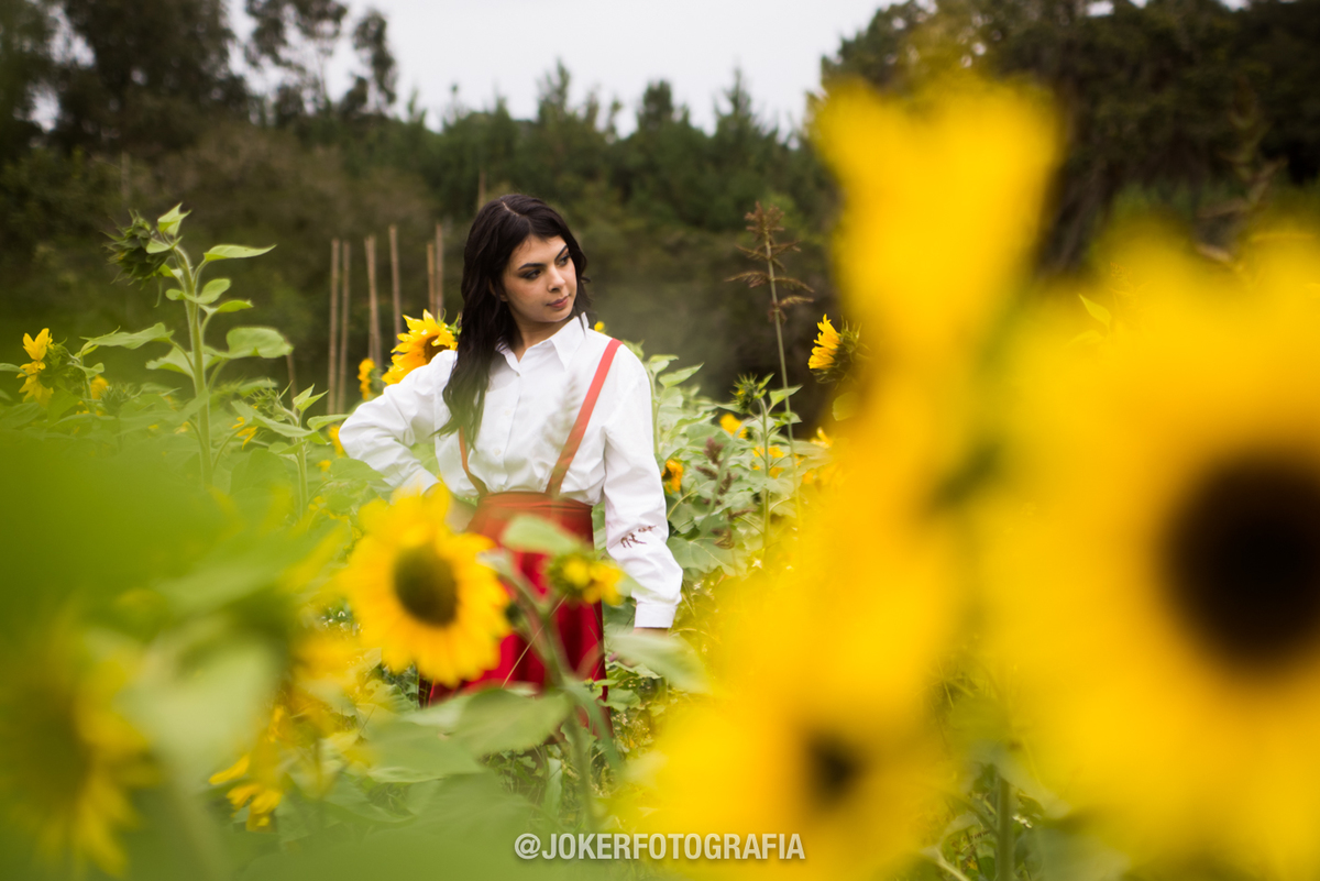 fotógrafo ensaio campo de girassóis