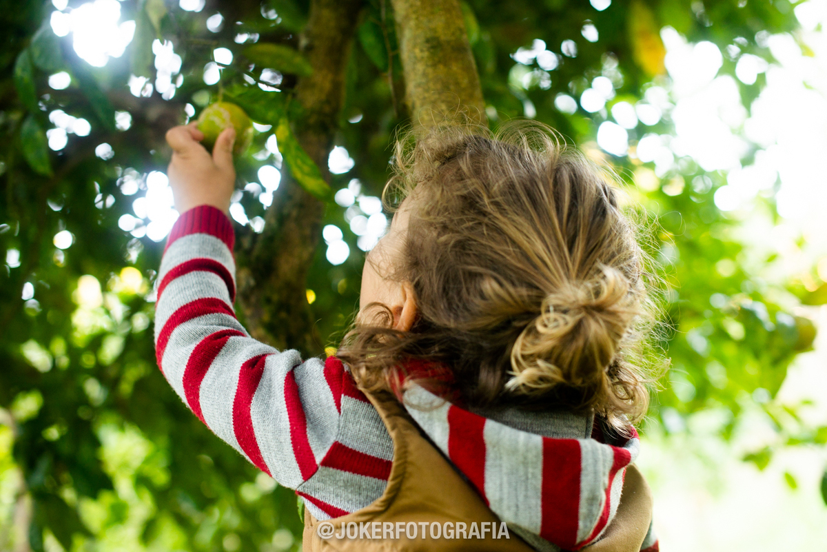 ensaio de família lifestyle curitiba