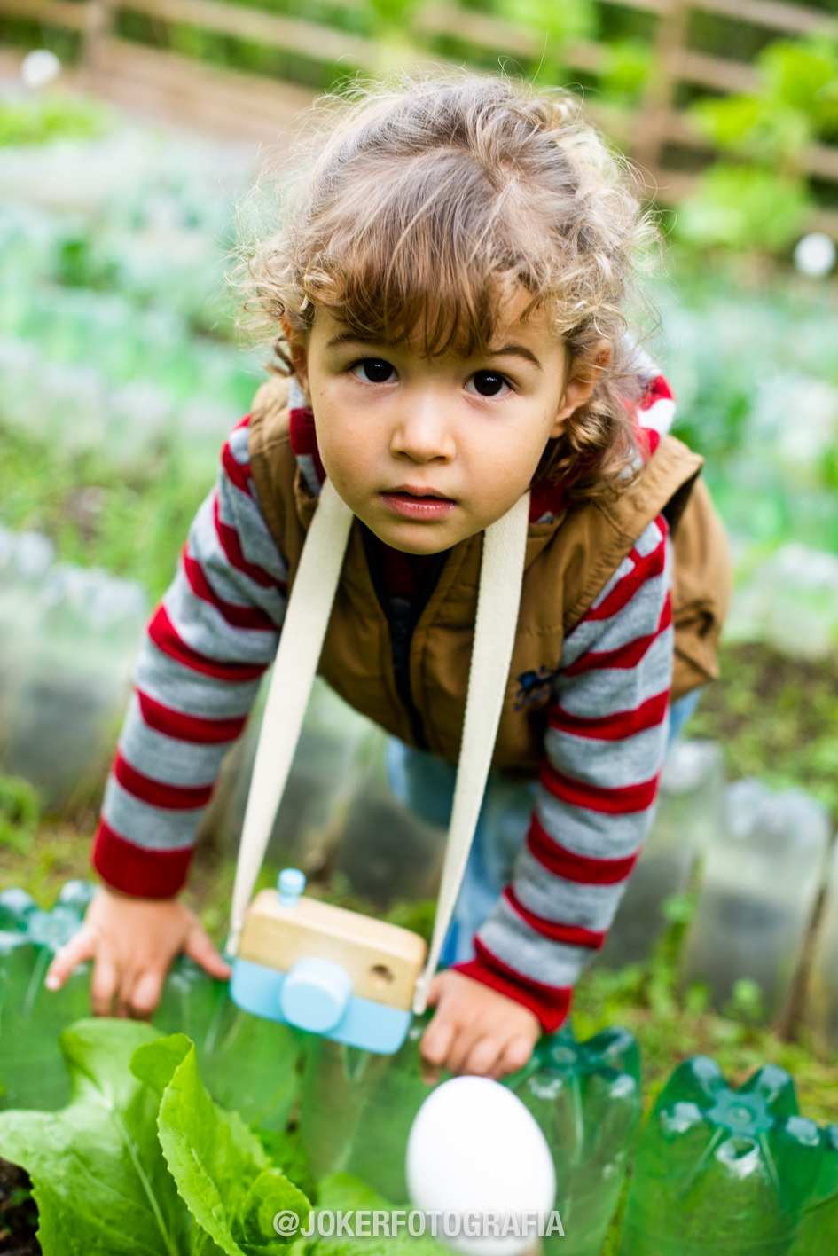 ensaio de família lifestyle curitiba