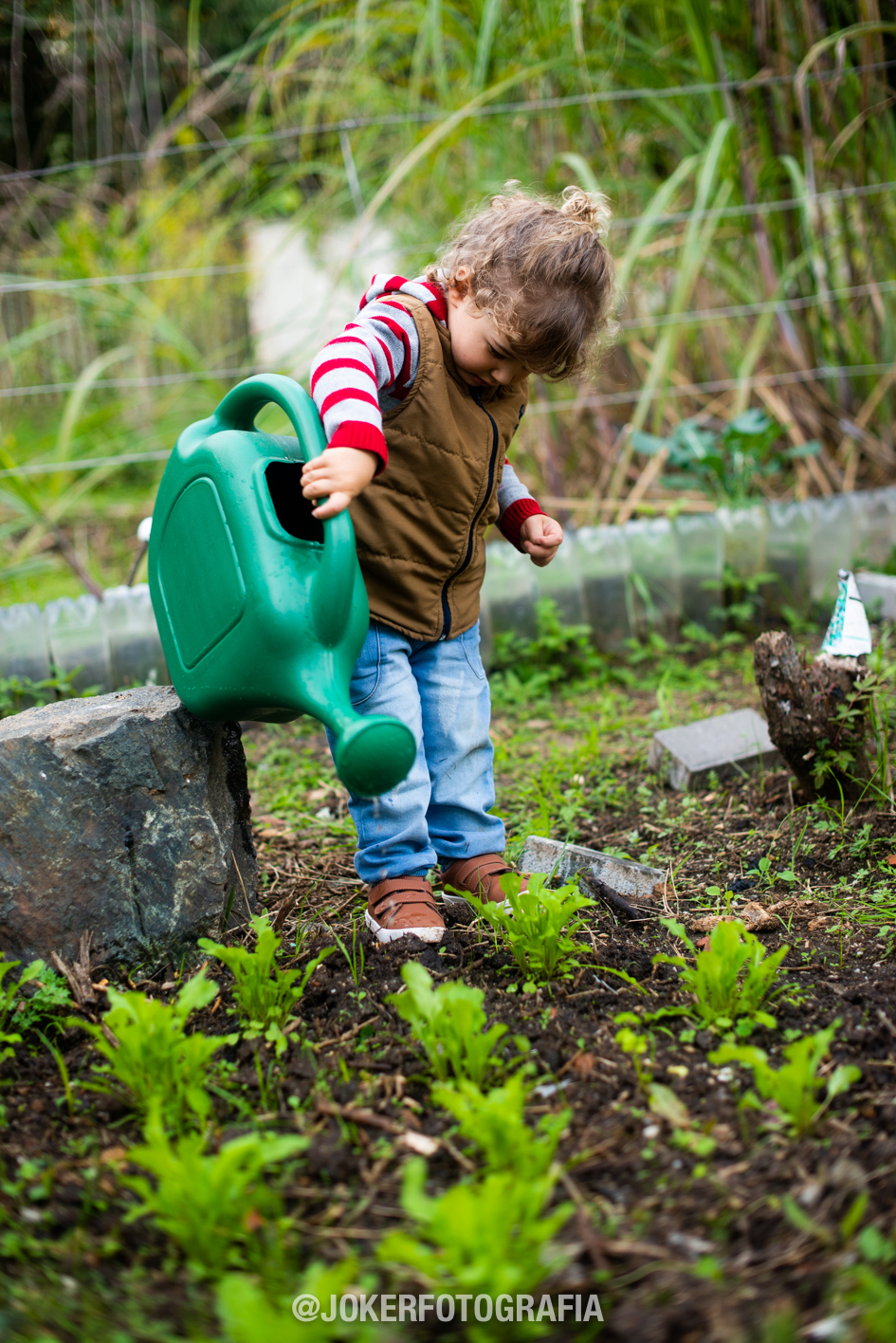 ensaio infantil em curitiba em casa na horta fotos espontaneas brincando