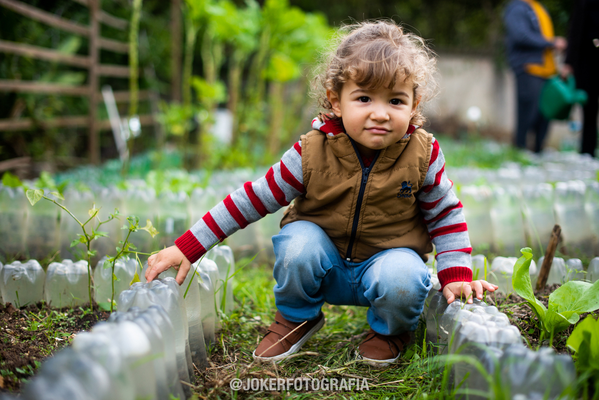 book de criança em curitiba preco