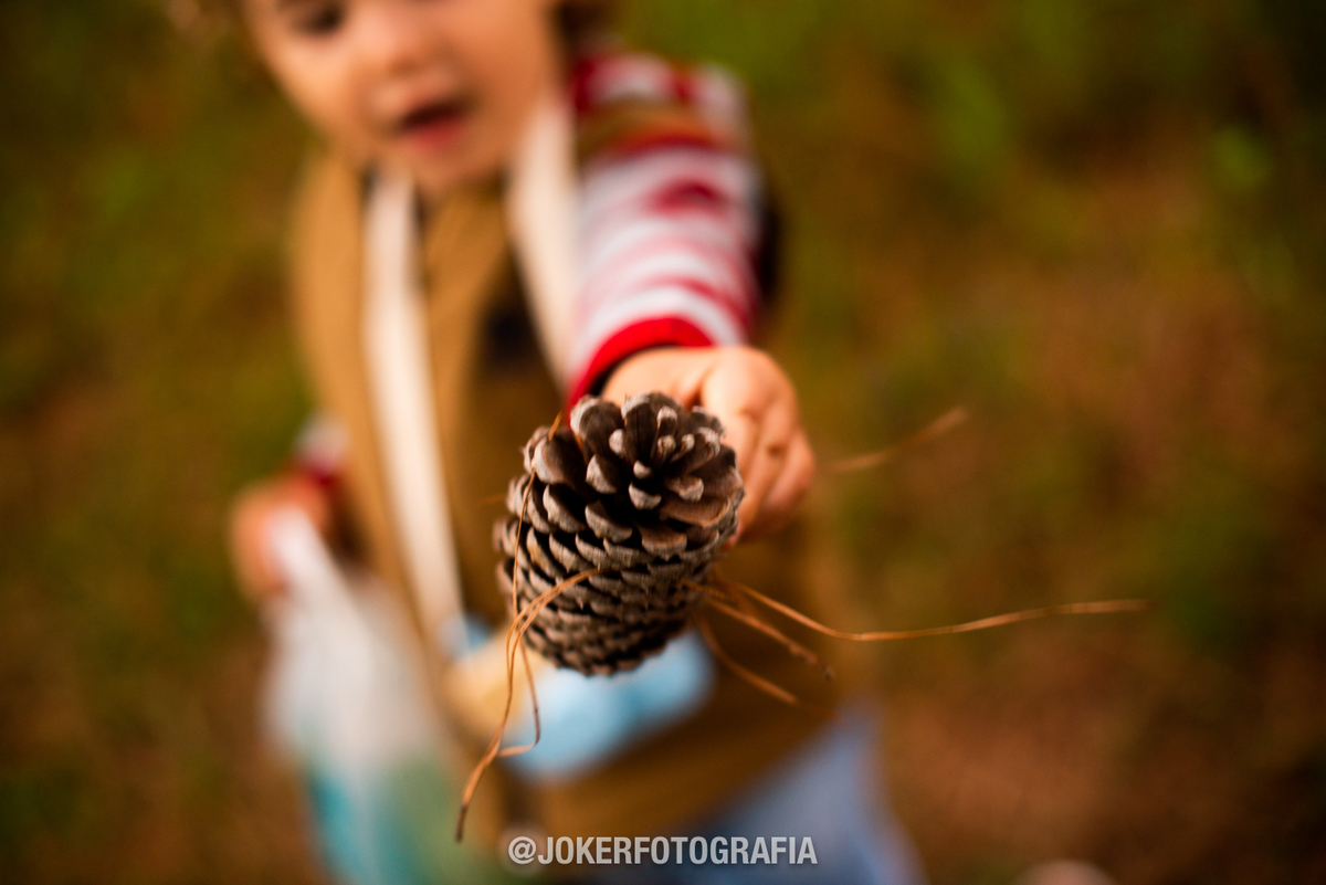 ensaio infantil inverno outono em curitiba valores