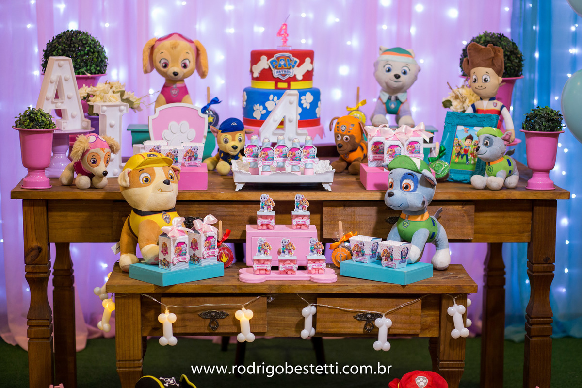 fotografia infantil, fotografo infantil, festa de aniversario, ana luisa, brilhante festas, rodrigo bestetti fotografia, patrulha canina, brinquedos, lembrancinha, decoracao, fotos diferentes, fotos legais, fotografo porto alegre, porto alegre