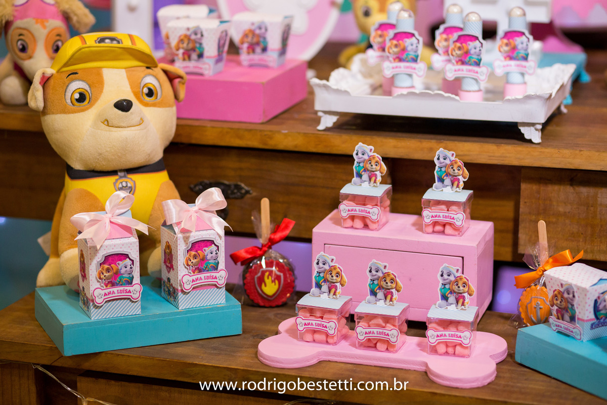 fotografia infantil, fotografo infantil, festa de aniversario, ana luisa, brilhante festas, rodrigo bestetti fotografia, patrulha canina, brinquedos, lembrancinha, decoracao, fotos diferentes, fotos legais, fotografo porto alegre, porto alegre