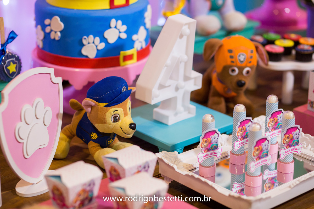 fotografia infantil, fotografo infantil, festa de aniversario, ana luisa, brilhante festas, rodrigo bestetti fotografia, patrulha canina, brinquedos, lembrancinha, decoracao, fotos diferentes, fotos legais, fotografo porto alegre, porto alegre