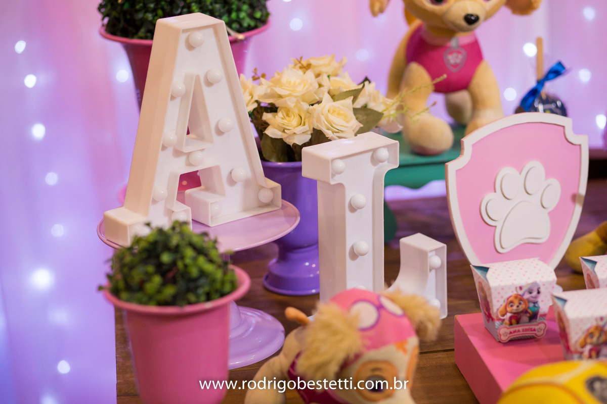 fotografia infantil, fotografo infantil, festa de aniversario, ana luisa, brilhante festas, rodrigo bestetti fotografia, patrulha canina, brinquedos, lembrancinha, decoracao, fotos diferentes, fotos legais, fotografo porto alegre, porto alegre