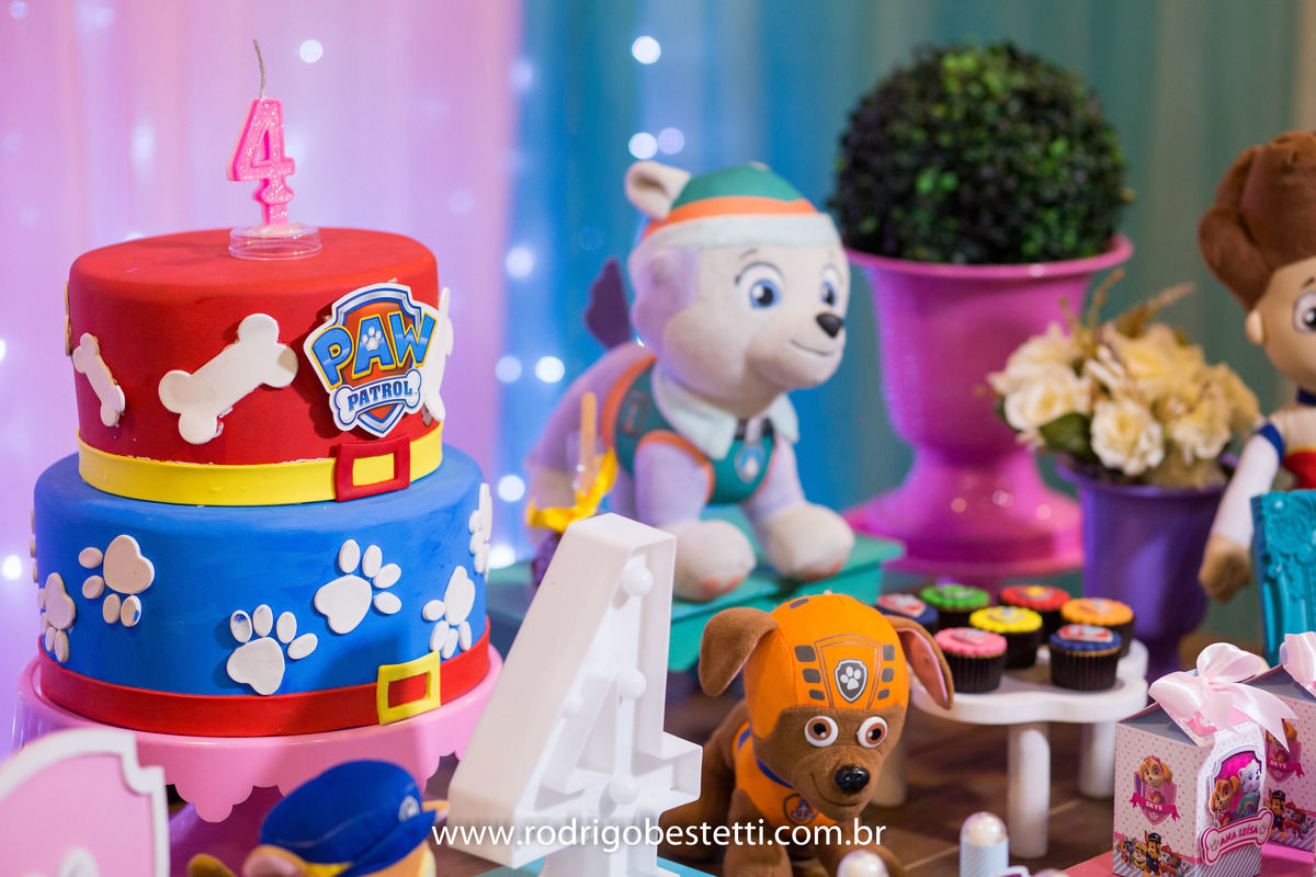 fotografia infantil, fotografo infantil, festa de aniversario, ana luisa, brilhante festas, rodrigo bestetti fotografia, patrulha canina, brinquedos, lembrancinha, decoracao, fotos diferentes, fotos legais, fotografo porto alegre, porto alegre