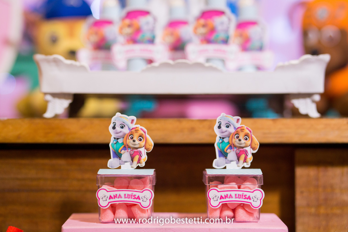 fotografia infantil, fotografo infantil, festa de aniversario, ana luisa, brilhante festas, rodrigo bestetti fotografia, patrulha canina, brinquedos, lembrancinha, decoracao, fotos diferentes, fotos legais, fotografo porto alegre, porto alegre