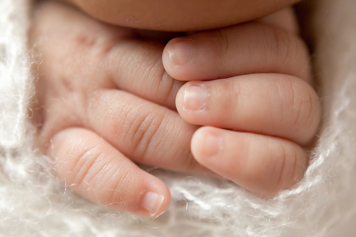 BOOK NEWBORN BELO HORIZONTE MG