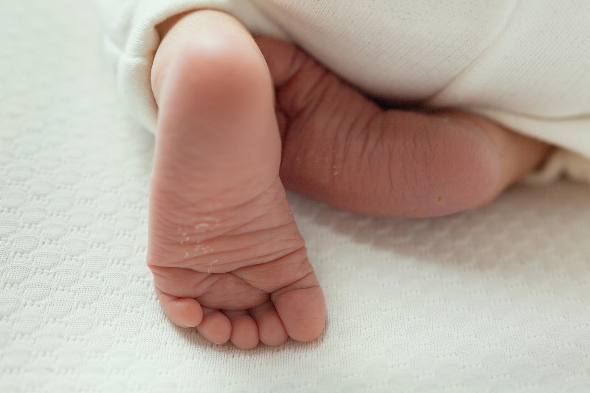 BOOK NEWBORN BELO HORIZONTE MG