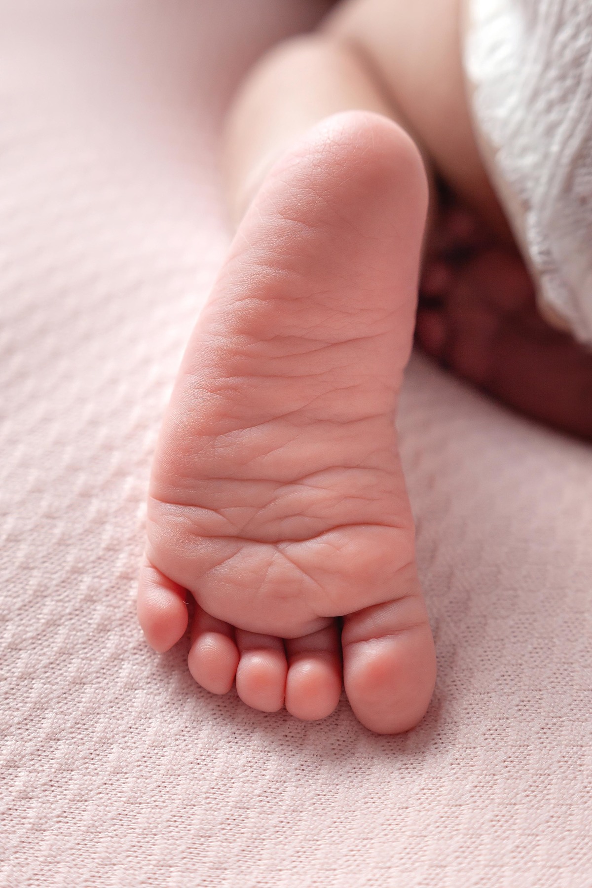 ENSAIO NEWBORN EM BELO HORIZONTE