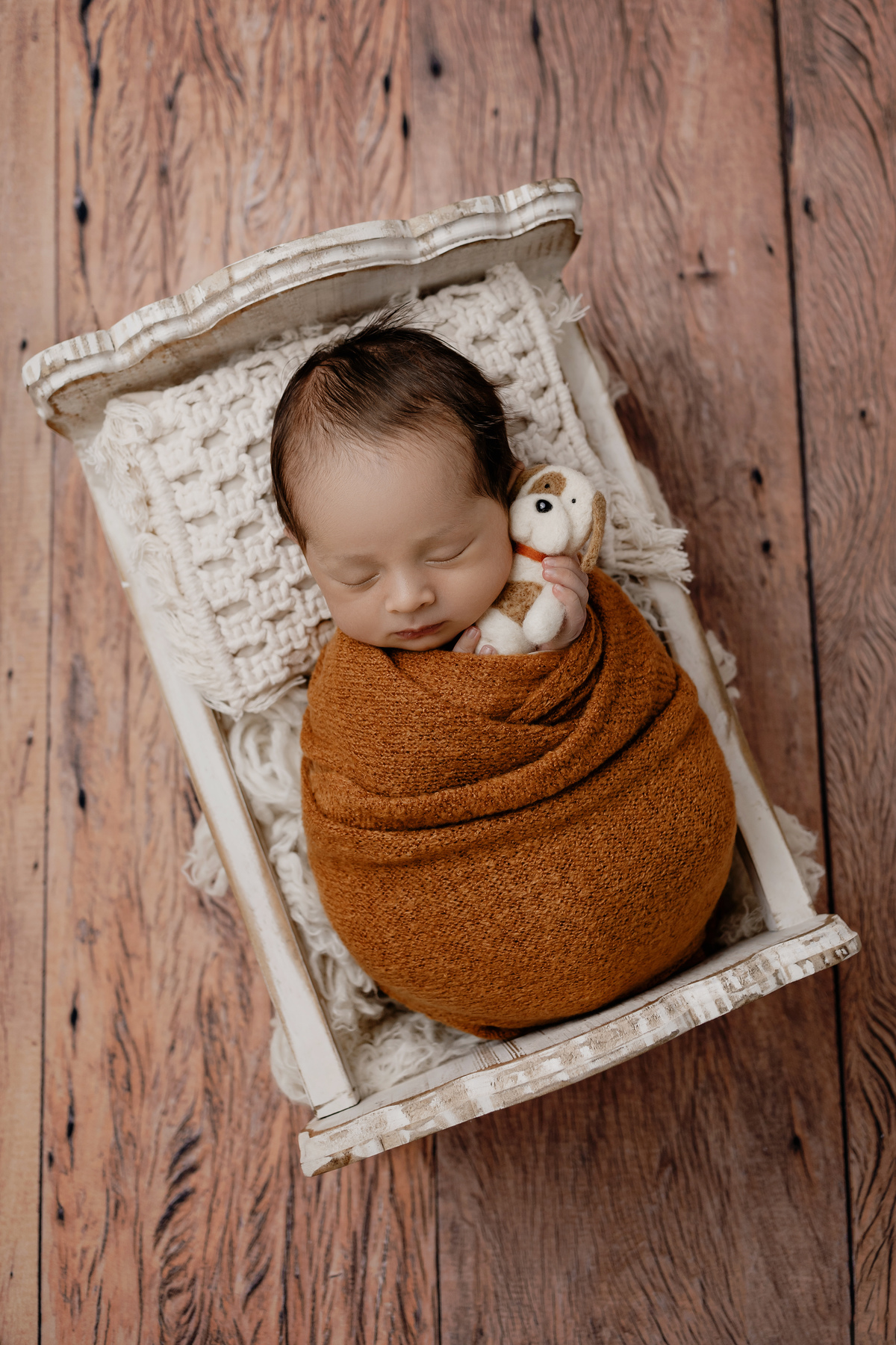 ENSAIO NEWBORN BELO HORIZONTE ALINE ARAUJO FOTOGRAFIA