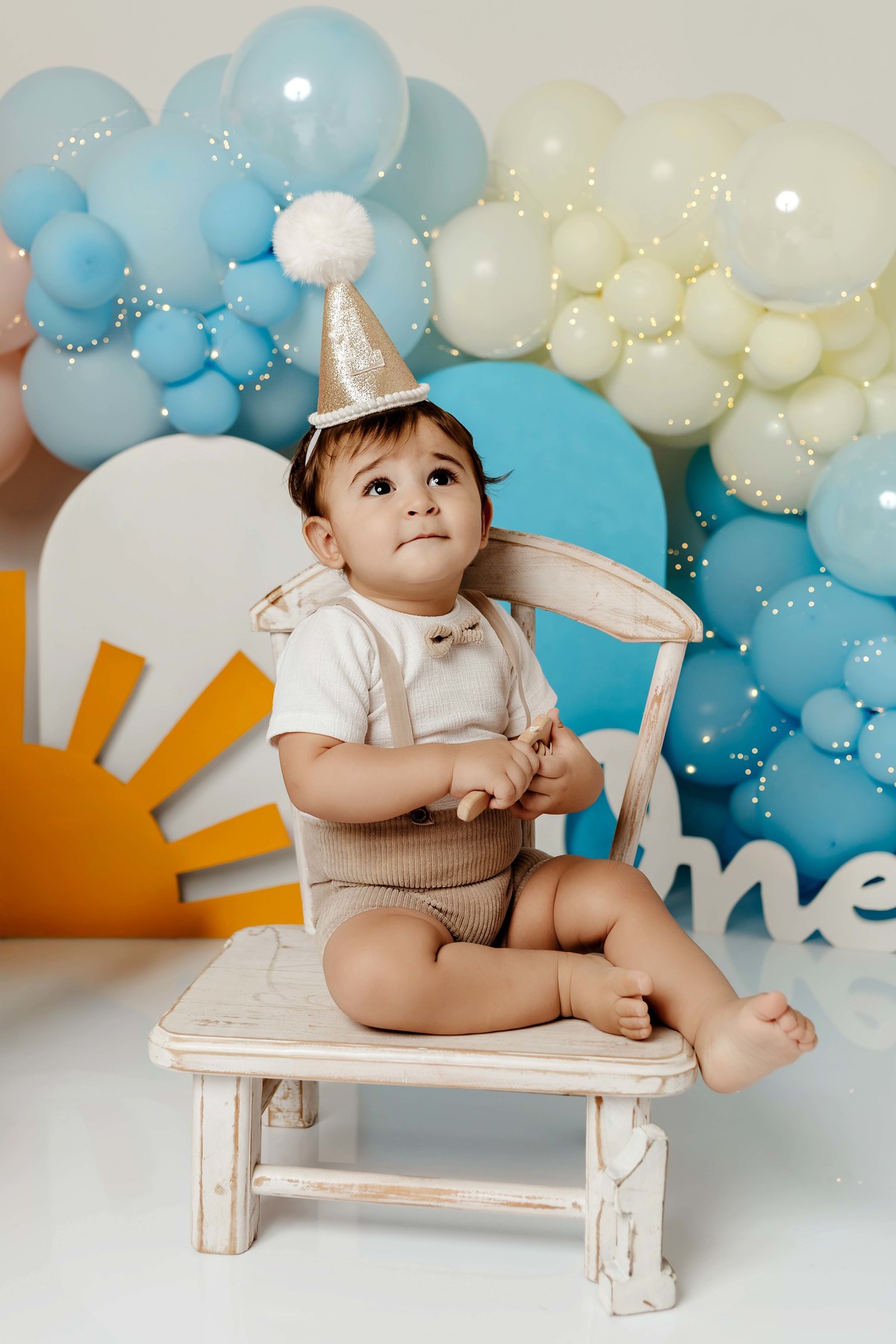 Smash the cake primeira volta ao sol aline araujo fotografia belo horizonte mg