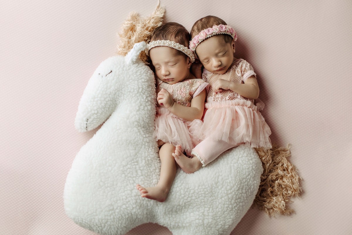 Ensaio newborn gêmeas estúdio em belo horizonte mg aline araujo fotografia