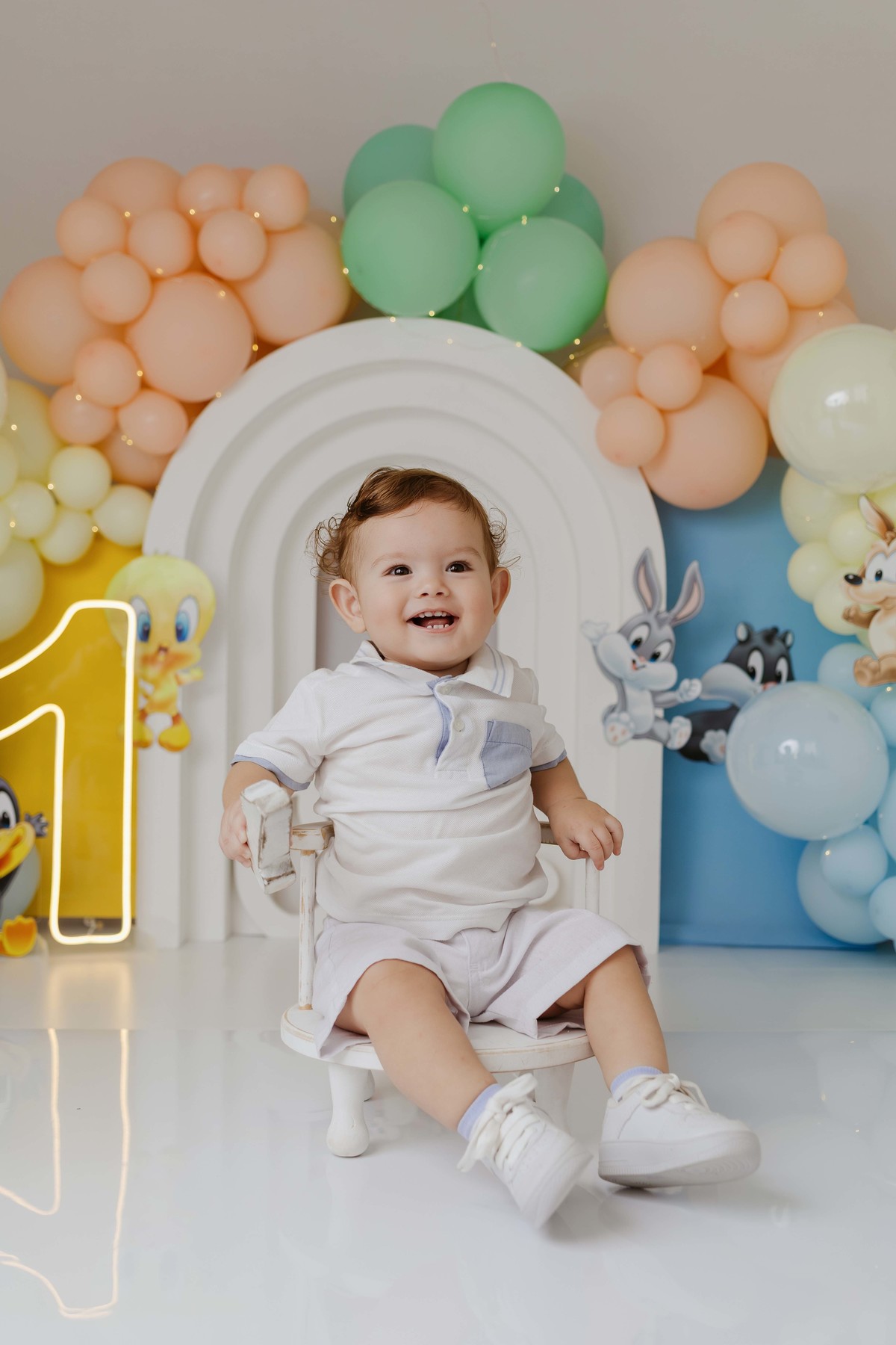 Smash the Cake baby looney tunes estúdio Aline Araújo 