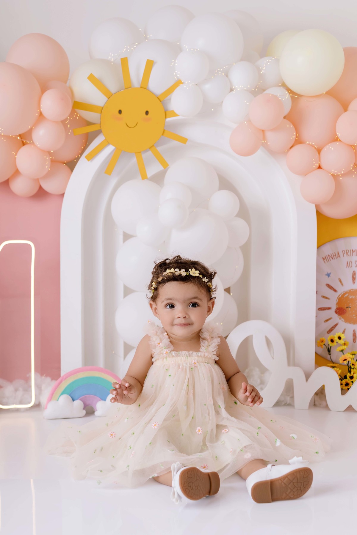 Smash the Cake baby primeira volta ao sol Aline Araújo 