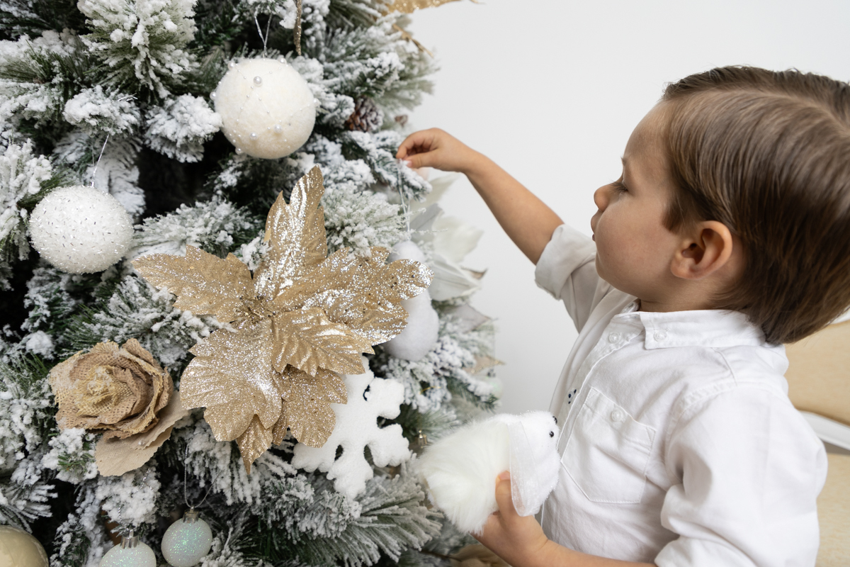 Sessão de Natal 2023, Natal 2023, sessão de natal porto2023, natal em família, mini sessões de natal 2023, 