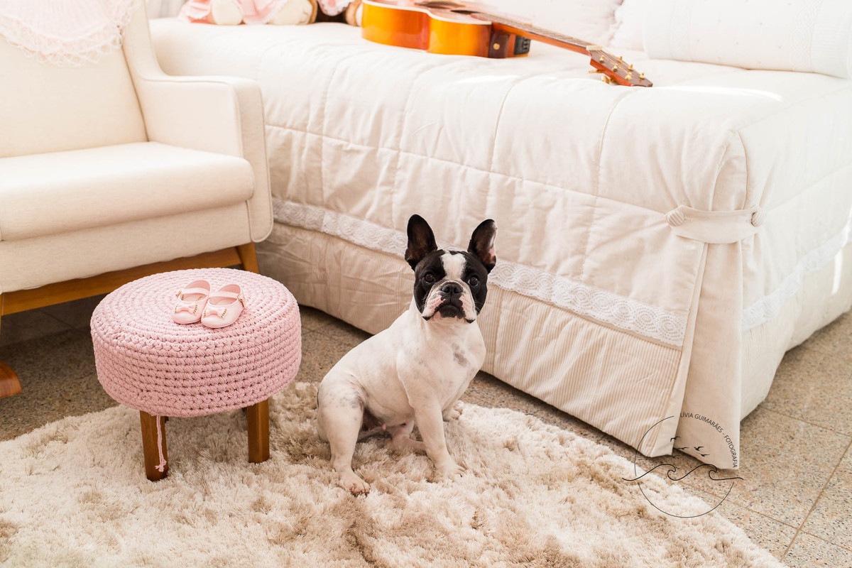 casa-no-quarto-do-bebe-laisa-pimenta-e-george-henrique-e-rodrigo-goiania-livia-guimaraes-