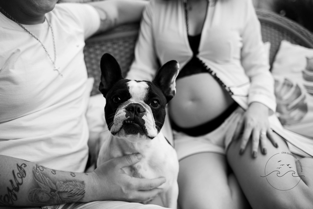 casa-no-jardim-com-cahorro-laisa-pimenta-e-george-henrique-e-rodrigo-goiania-livia-guimaraes-