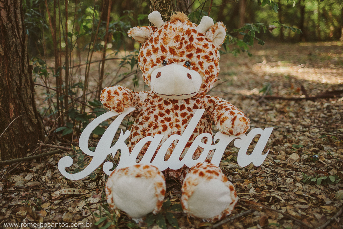 Ensaio fotográfico realizado na cidade de Presidente Epitácio - SP, pelo o fotógrafo Romerito Santos. Com a mamãe Renata, na doce espera da pequenina Isadora.