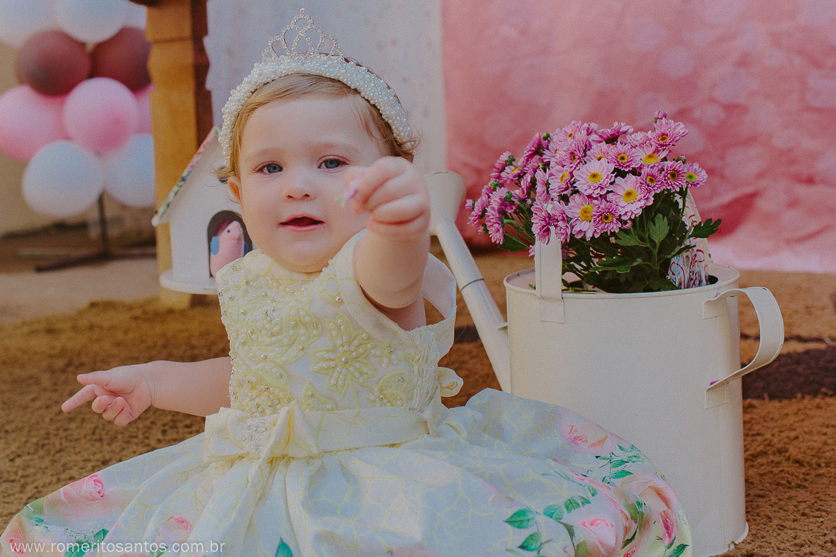 A pequenina Alice comemorou o seu 1 anino em uma festa encantadora na cidade de bataguassu, e contou com o fotografo Romerito Santos para registar este lindo momento.