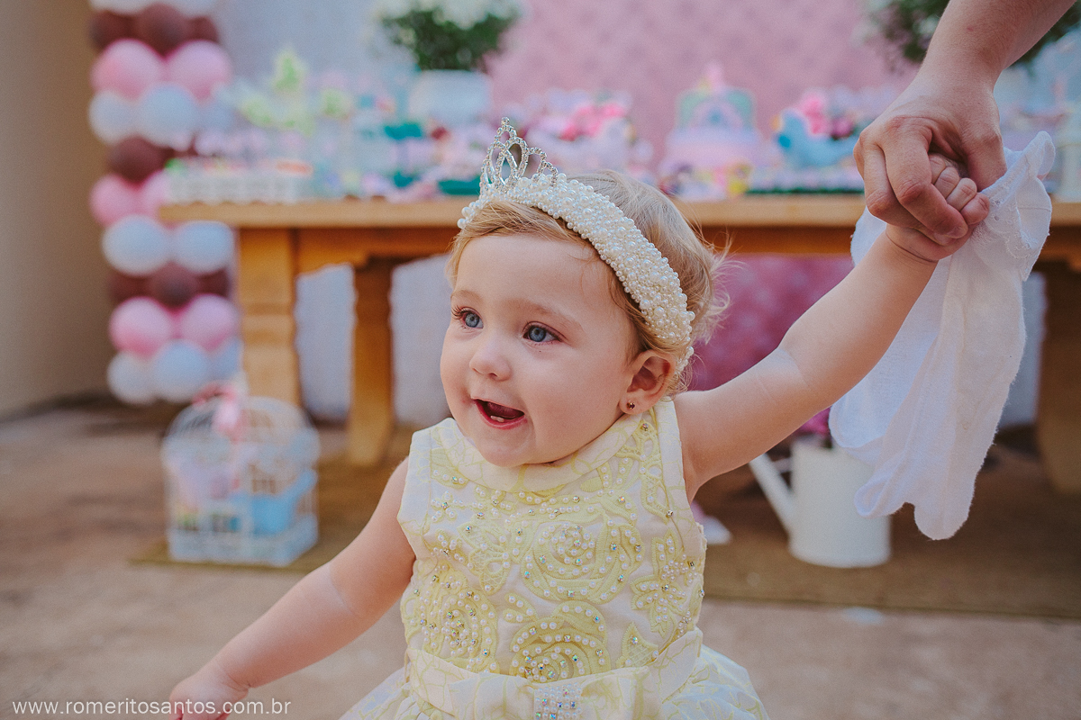 A pequenina Alice comemorou o seu 1 anino em uma festa encantadora na cidade de bataguassu, e contou com o fotografo Romerito Santos para registar este lindo momento.