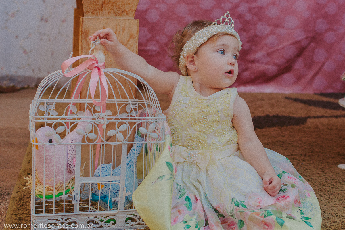 A pequenina Alice comemorou o seu 1 anino em uma festa encantadora na cidade de bataguassu, e contou com o fotografo Romerito Santos para registar este lindo momento.