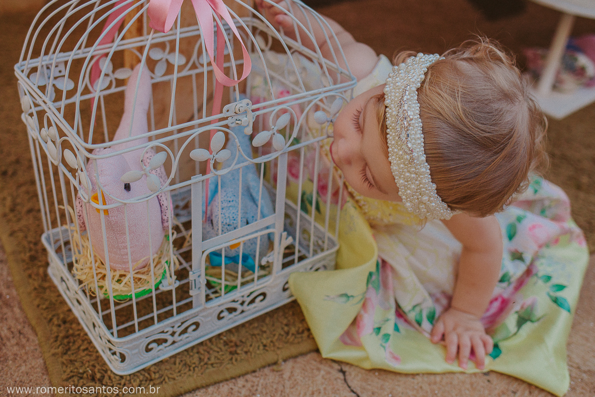A pequenina Alice comemorou o seu 1 anino em uma festa encantadora na cidade de bataguassu, e contou com o fotografo Romerito Santos para registar este lindo momento.