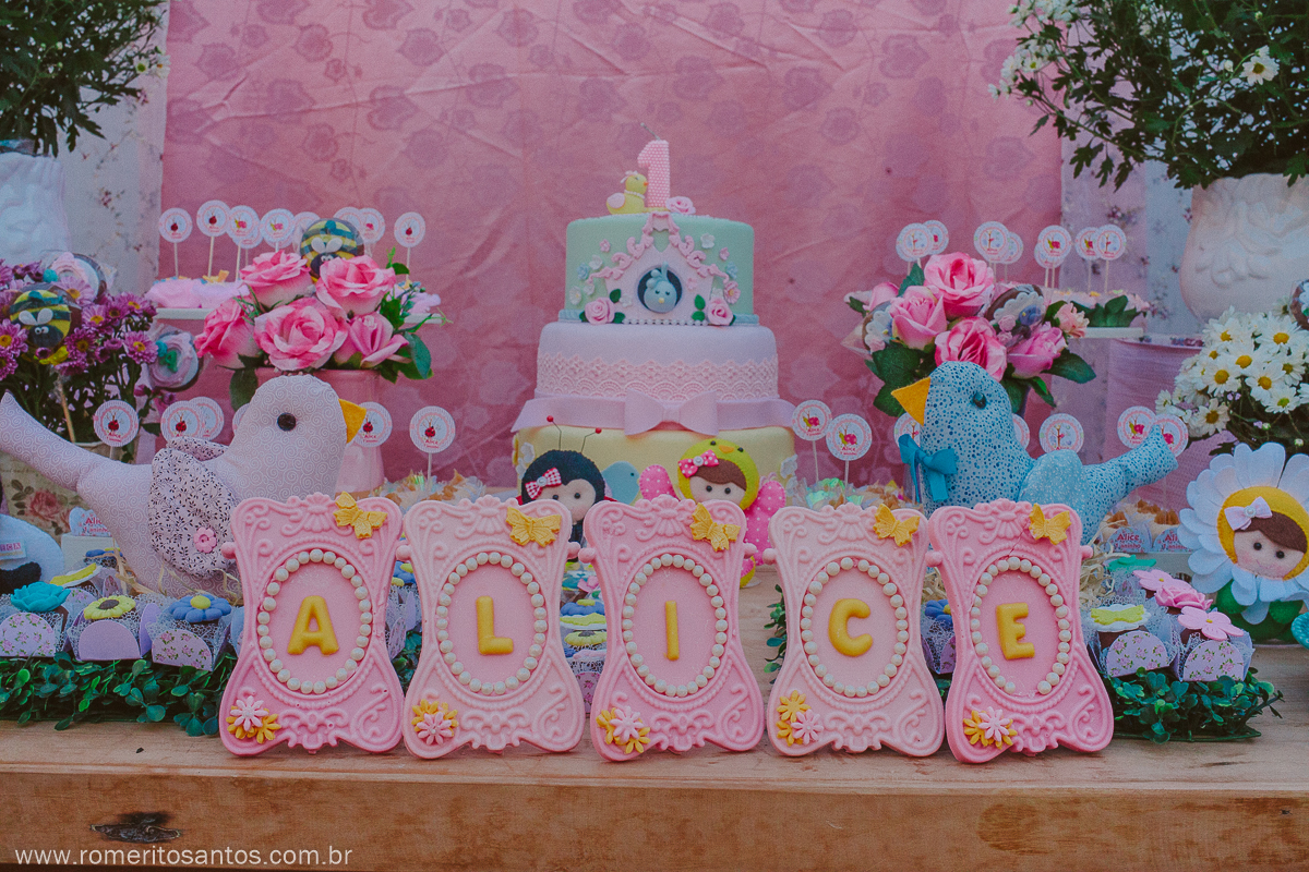 A pequenina Alice comemorou o seu 1 anino em uma festa encantadora na cidade de bataguassu, e contou com o fotografo Romerito Santos para registar este lindo momento.