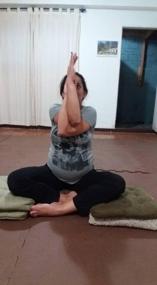 Aldeia da Serra, Alphaville e Santana de Parnaíba 2010 a 2018