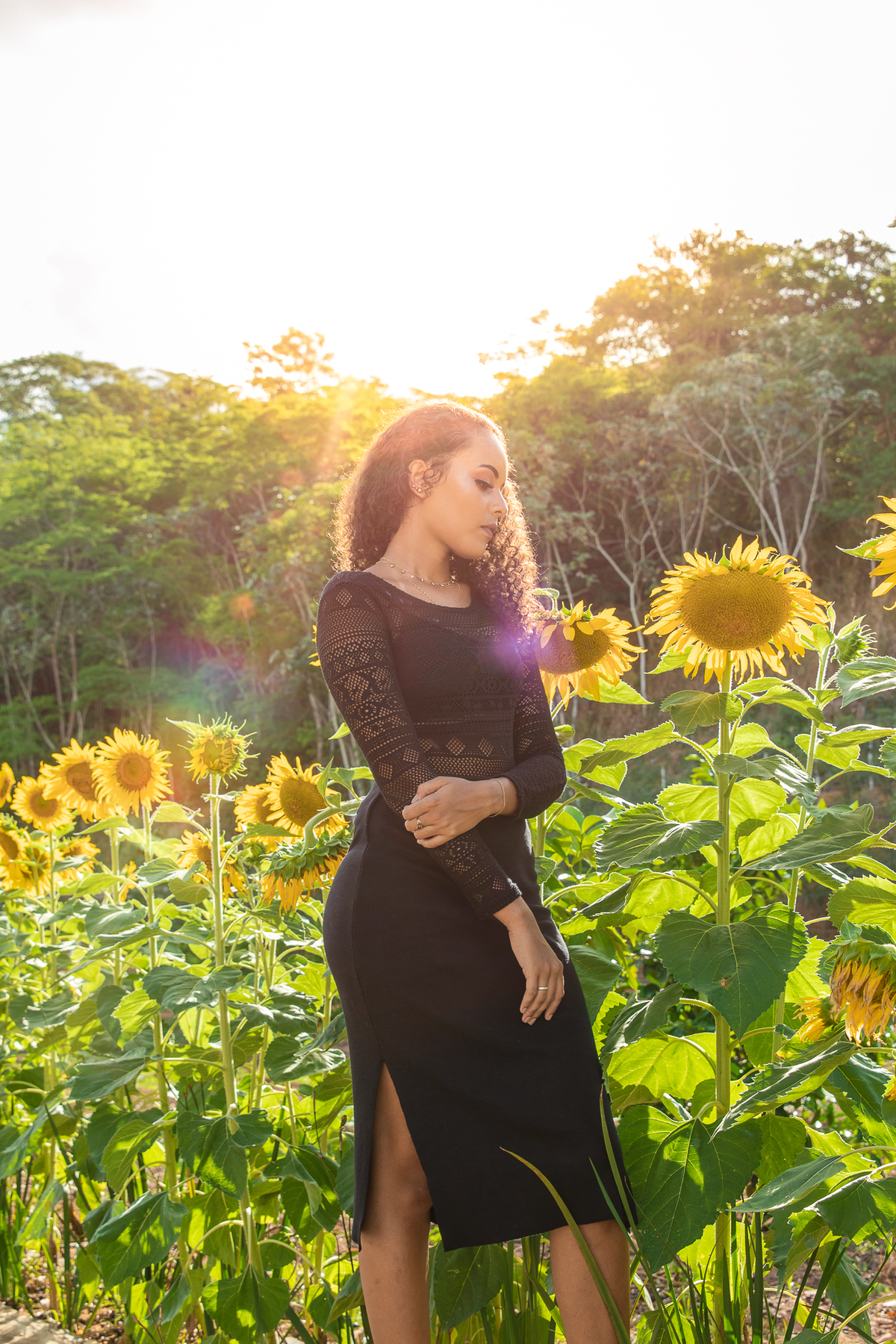 Menina de 15 anos com vestido preto e justo ao lado de girassóis posando para seu ensaio ao lado de posando para seu ensaio em uma fazenda antiga em Santo Antônio de Pádua no interior do Rio de Janeiro.