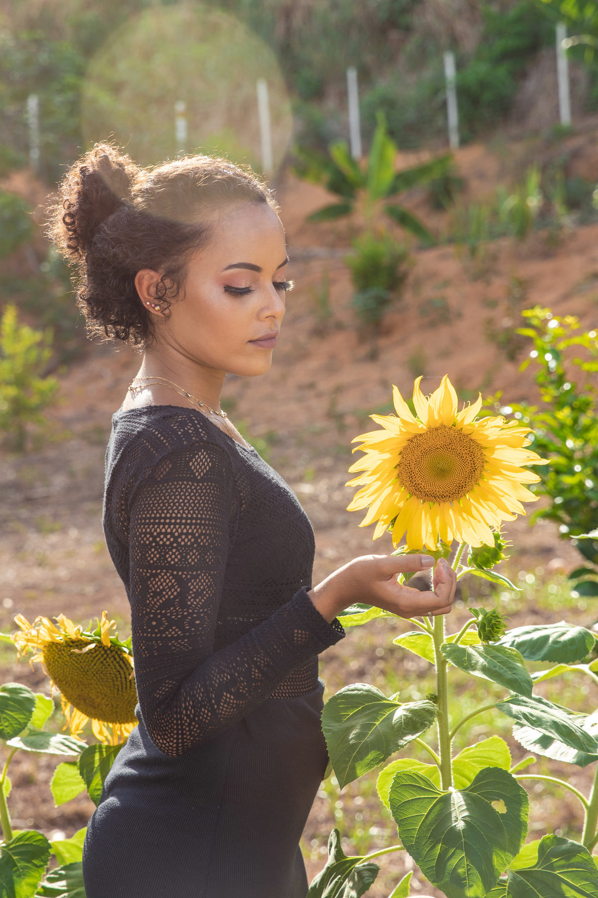 Menina de 15 anos com vestido preto e justo ao lado de girassóis posando para seu ensaio em Santo Antônio de Pádua no interior do Rio de Janeiro.