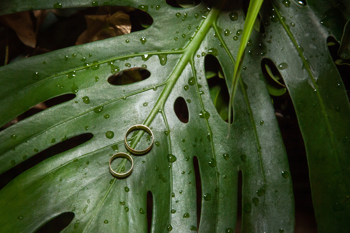 Fotos das alianças em um casamento lindo ao ar livre, decoração com muito verde e lâmpadas penduradas em Santo Antônio de Pádua - Rj.