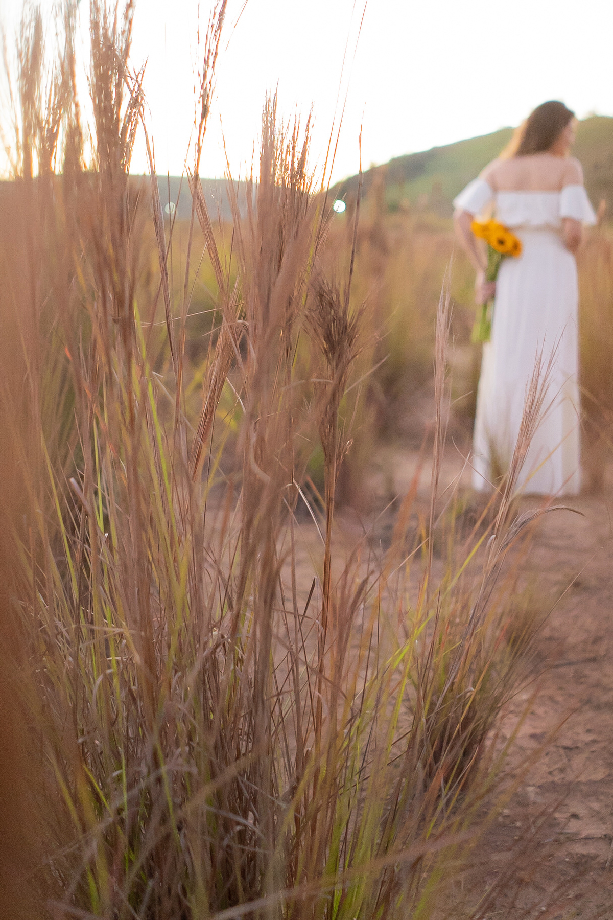 Ensaio de 15 , debutante sorrindo,  com vestido branco em um lindo pôr do sol segurando flores de girassol em Pádua interior do Rio de Janeiro.