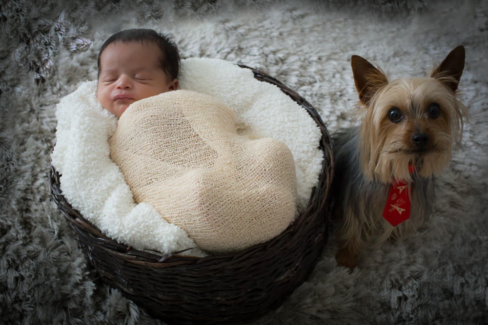 newborn_valquiria_paulo_estudio_movel_estudio_em_casa_sao_paulo