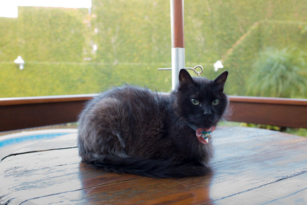 familia_lifestyle_valquiria_paulo_saopaulo_vargemgrandepaulista_saoroque