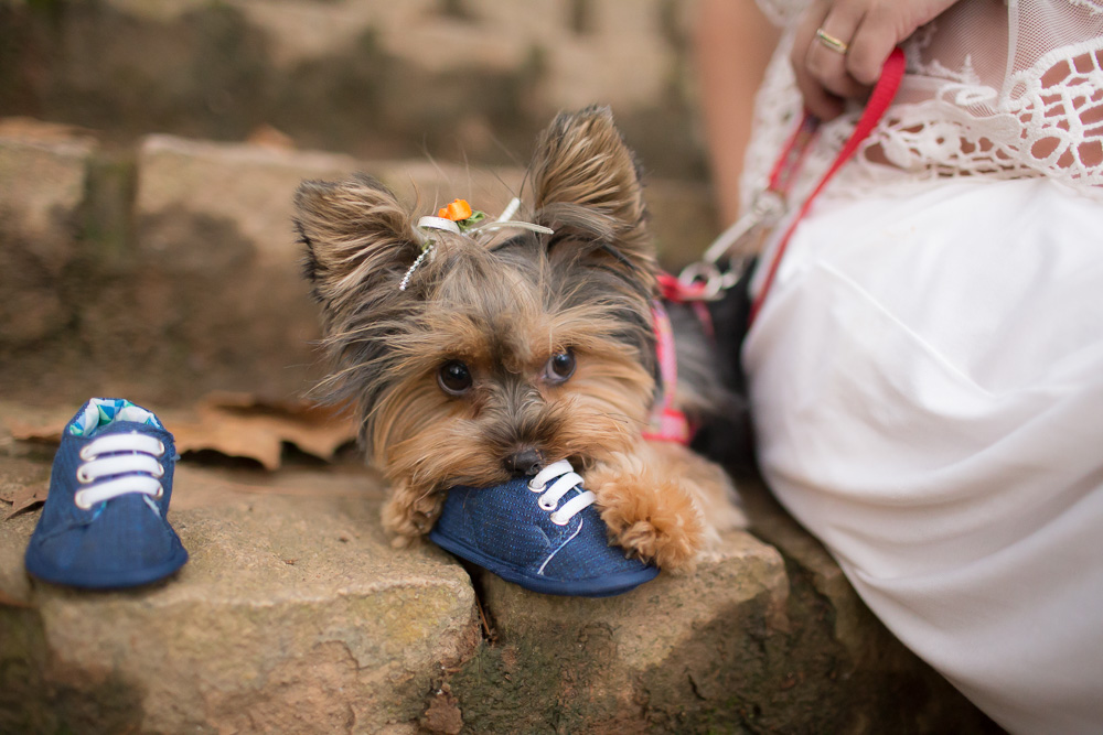 gestante_valquiria_paulo_saopaulo