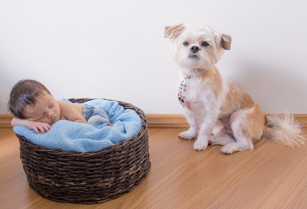 newborn_valquiria_paulo_saopaulo