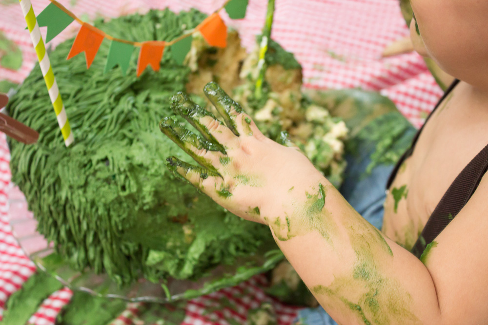 smash_the_cake_valquiria_paulo_osasco