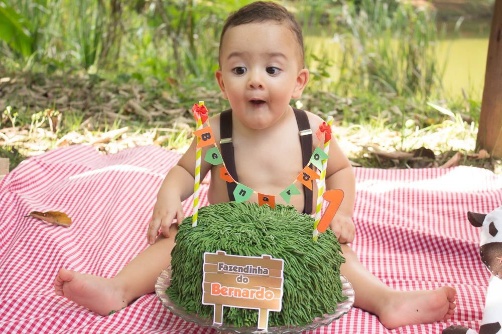 smash_the_cake_valquiria_paulo_osasco