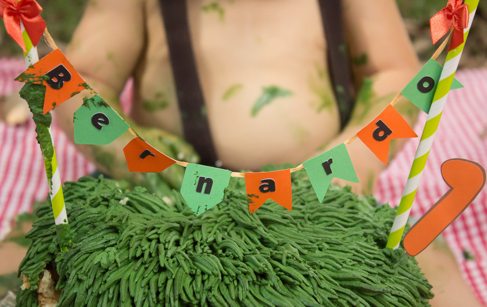 smash_the_cake_valquiria_paulo_osasco