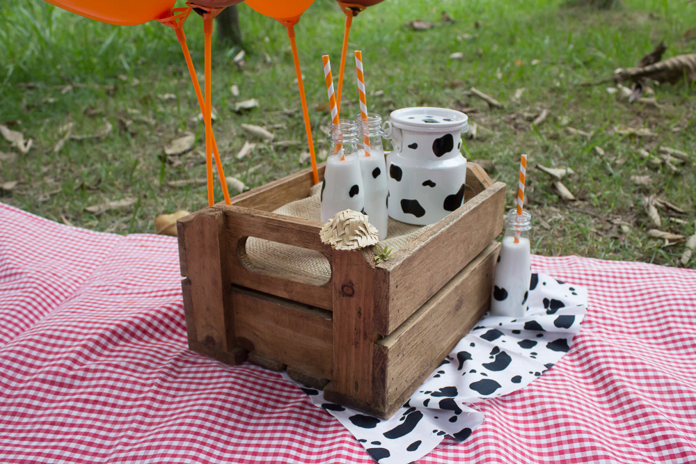 smash_the_cake_valquiria_paulo_osasco