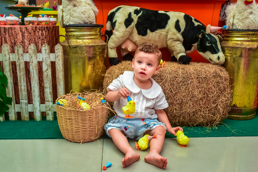 foto do pedro com a decoração do seu aniversario no castelo encantado