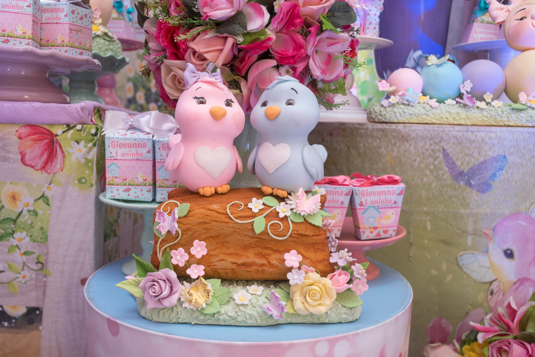 decoração da festinha do aniversario da Giovanna em Salvador