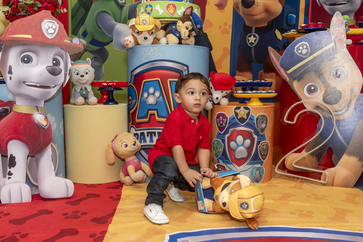 Foto-aniversário-infantil-decoração