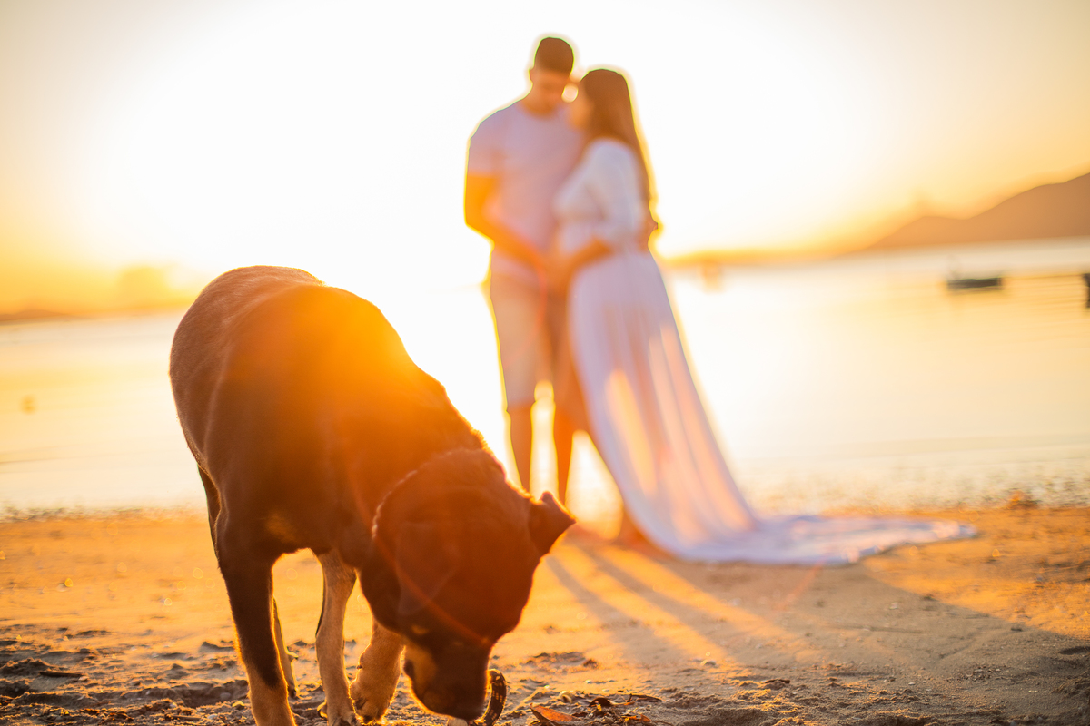 ensaio de gestante com pet