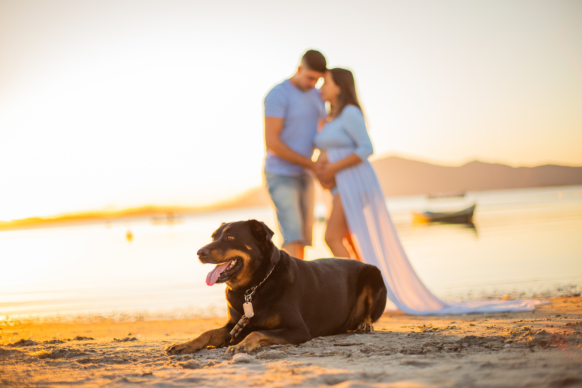 ensaio de gestante com pet