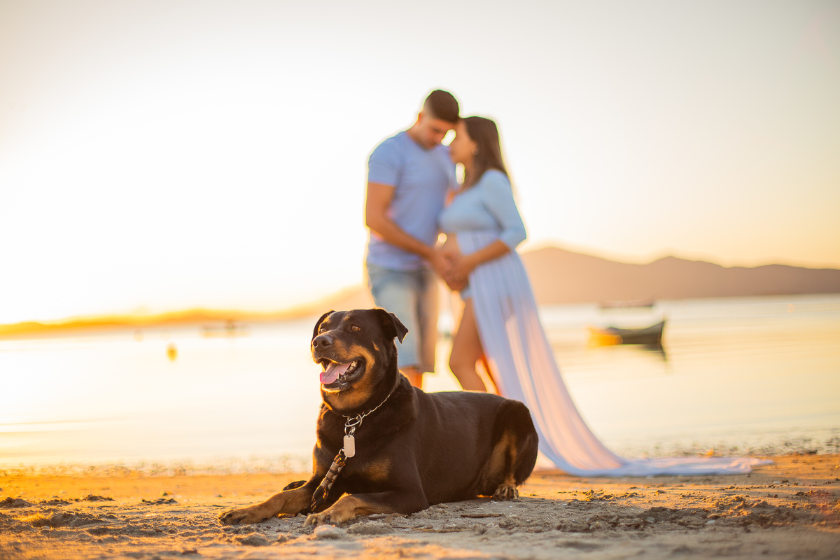 ensaio de gestante com pet